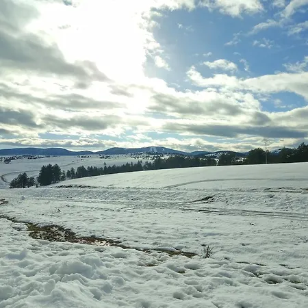 Denis Zlatibor